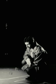 Sombras-da-Lei