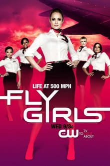 Poster da série Fly Girls