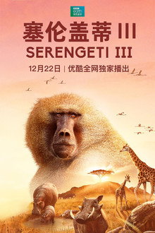 第 3 季