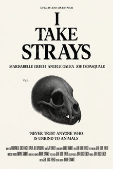 I TAKE STRAYS