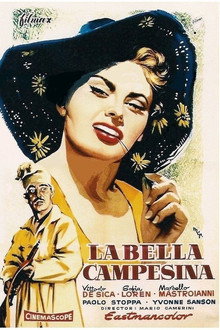 La bella campesina