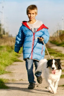 Slava der Hund