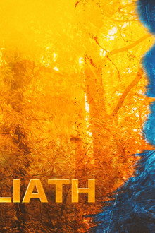 Am Fear Liath