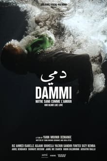 Poster do filme Dammi