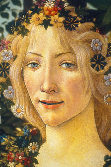 Botticelli, Florence and the Medici