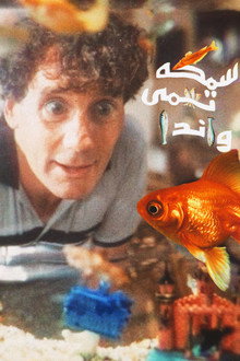 سمكة تدعى وندا