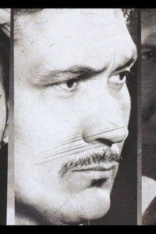 Das-Paradies-der-Mörder