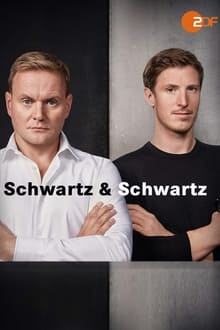 Poster da série Schwartz & Schwartz