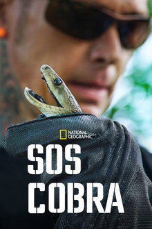 Temporada 8