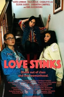 Poster do filme Love Stinks