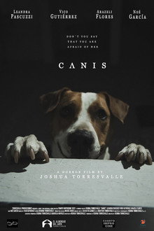 C Λ N I S