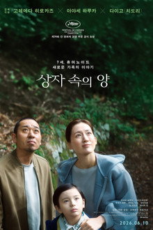 상자 속의 양