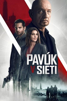 Pavúk v sieti