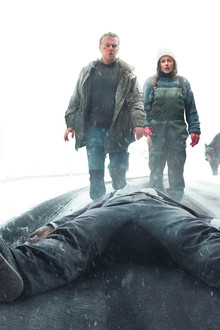 Un ours dans le Jura