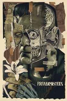Frankenstein movie poster