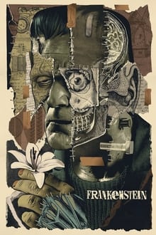 Poster do filme Frankenstein