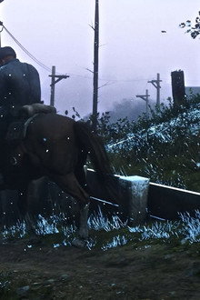 RED DEAD LIBERATION