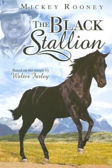 Poster da série The Adventures of the Black Stallion