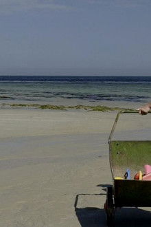 L'Homme-a-mangé-la-Terre