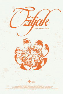 Ožiljak