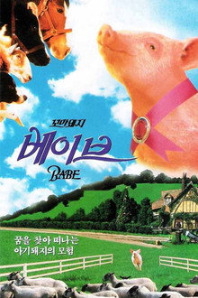 꼬마 돼지 베이브
