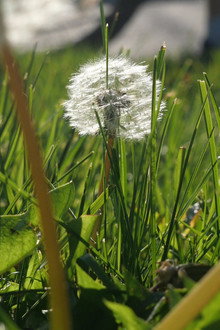 The Beauty Of Summer Like Weather