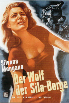Der Wolf der Silaberge