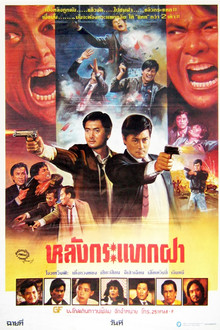 หลังกระแทกฝา