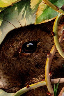 Watership Down