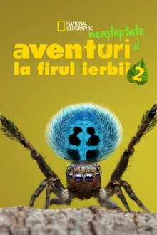Sezonul 2