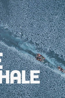 One with the Whale