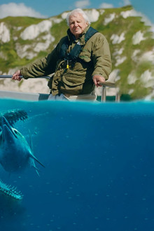 Attenborough and the Sea Dragon