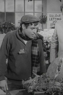 The-Little-Shop-of-Horrors