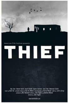 Poster do filme Thief