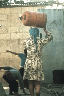 Les-Femmes-palestiniennes