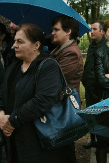 დაისის მიზიდულობა