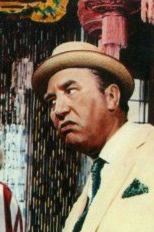 The Cool Mikado