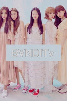 BVNDITv
