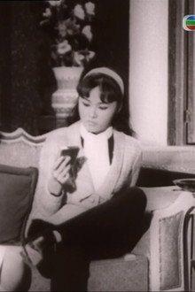 女黑俠木蘭花
