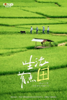 生活有点“田”