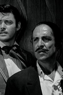 Zorro