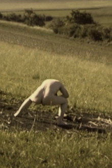 Debris Documentar