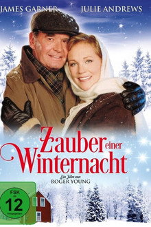 Zauber einer Winternacht