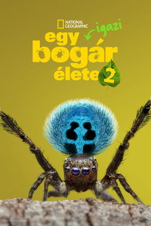 2. évad
