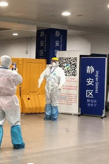 My Quarantine Bear