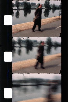 Effeuiller l'acanthe