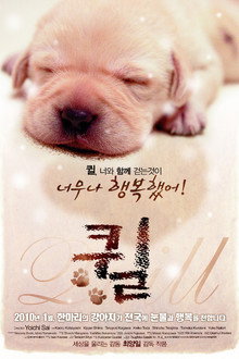 퀼