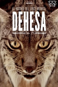 Dehesa, el bosque del lince ibérico 2021