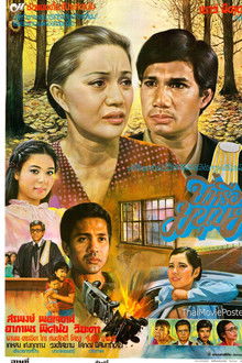 นี่หรือมนุษย์