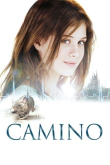 Poster do filme Camino
